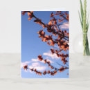 Suche nach neuer anfang karten Blume