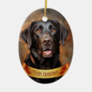 Suche nach labrador retriever ornamente Welpe