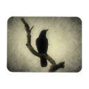 Suche nach die krähe magnete Silhouette