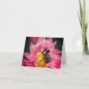 Suche nach beben karten Vielen dank