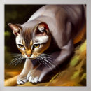 Suche nach bobtail poster Kätzchen