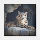 Suche nach pelz magnete Wild lebende tiere