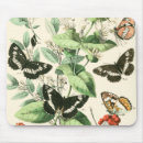 Suche nach garten blumen mousepads Natur