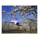 Suche nach obstgarten poster Ernte