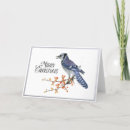 Suche nach orange beeren karten Urlaub