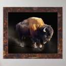 Suche nach huftiere poster Büffel