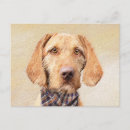 Suche nach für das vizsla postkarten Welpe