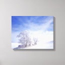 Suche nach frost leinwandbilder Schnee