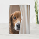 Suche nach vorhang karten Niedlich