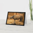 Suche nach nashorn karten Nashörner