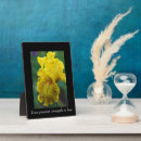 Suche nach haus fotodruck Blume