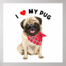 Suche nach niedlicher mops poster Puggle