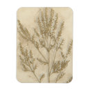 Suche nach botanisch magnete Blattwerk