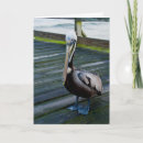 Suche nach fressen karten Fresser