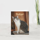 Suche nach funny thank you karten Cat
