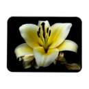 Suche nach elegante blumen magnete Natur
