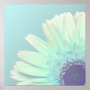 Suche nach gerbera blume poster Natur