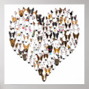 Suche nach bullterrier poster Stier