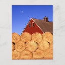 Suche nach heu poster Stall