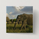 Suche nach afrikanischer elefant buttons Kenia