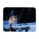 Suche nach füße magnete Tier