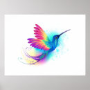 Suche nach colibri poster Vogel