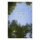 Suche nach himmel blau poster Wandkunst