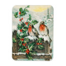 Suche nach vintage vögel magnete Schnee