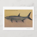 Suche nach tarpon poster Sammlung