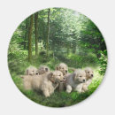 Suche nach goldener welpe magnete Welpen