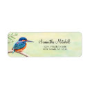 Suche nach eisvogel Orange