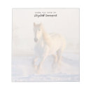 Suche nach weißes pferd notizblock Reiter