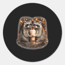 Suche nach lustige waschbär aufkleber Tier