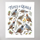 Suche nach vogel aquarell poster Natur wandkunst