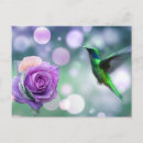 Suche nach kolibris postkarten Glaube