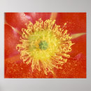 Suche nach sonora poster Rob tilley