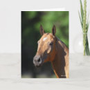 Suche nach tekst karten Tier