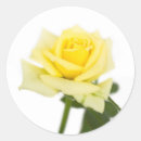 Suche nach single rose aufkleber Blühen