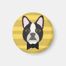 Suche nach terrier magnete Boston