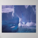 Suche nach antarctica poster Gletscher