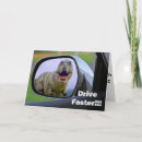 Suche nach funny dinosaur karten Dinosaurier