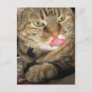 Suche nach cats postkarten Humor