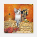 Suche nach halloween katze magnete Herbst