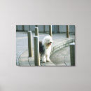 Suche nach schäferhund leinwandbilder Horizontal