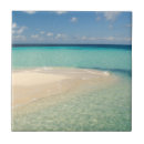 Suche nach karibisches meer fliesen Belize