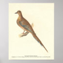 Suche nach dover poster Farbe