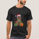 Suche nach weihnachts schokolade Labrador
