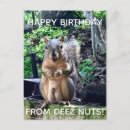 Suche nach eichhörnchen spaß karten Witz