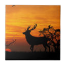 Suche nach jagd fliesen Rotwild