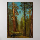 Suche nach sequoia poster Malerei